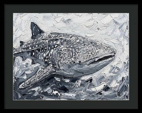 Whale Shark In Monochrome