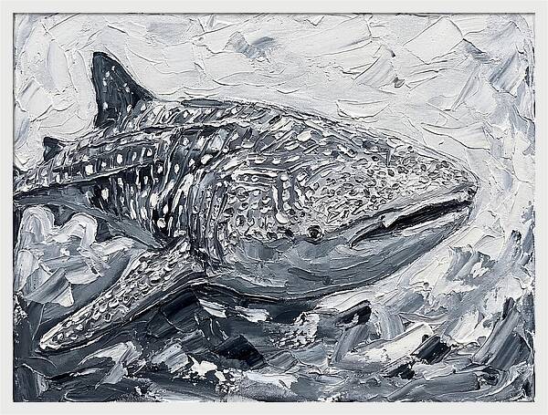 Whale Shark In Monochrome