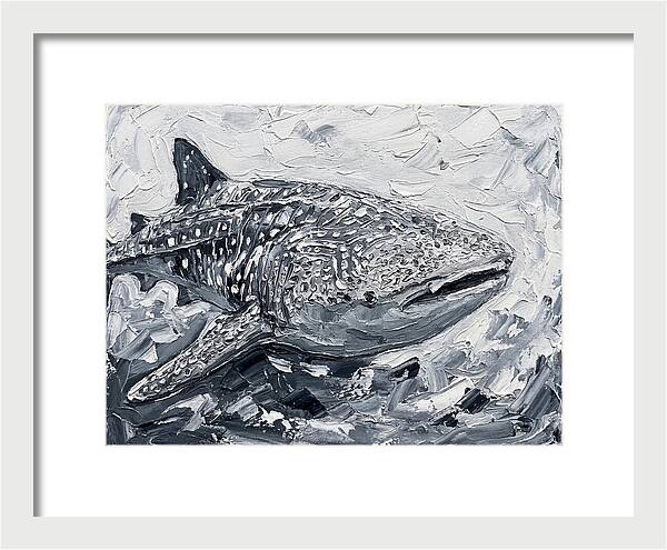 Whale Shark In Monochrome