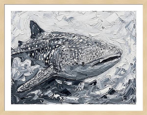 Whale Shark In Monochrome