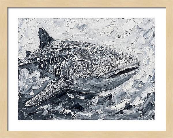 Whale Shark In Monochrome