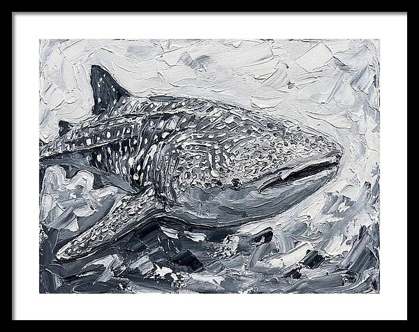 Whale Shark In Monochrome