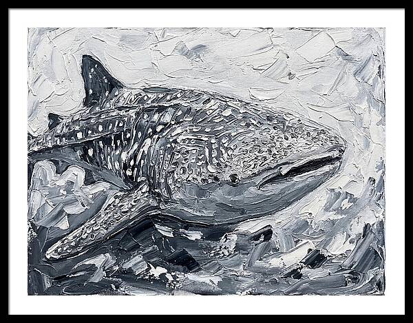 Whale Shark In Monochrome