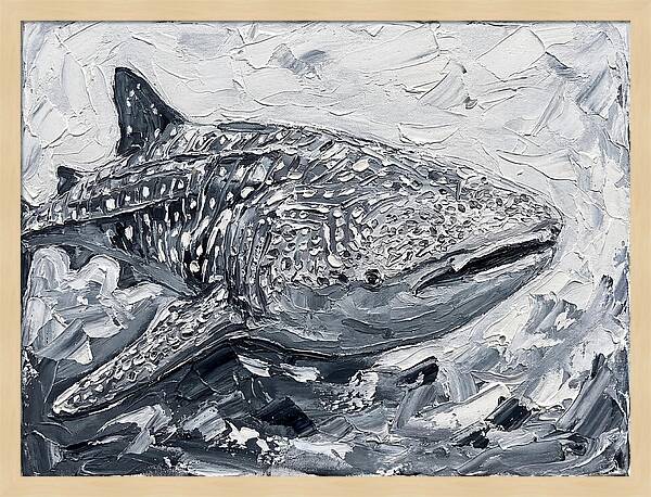 Whale Shark In Monochrome