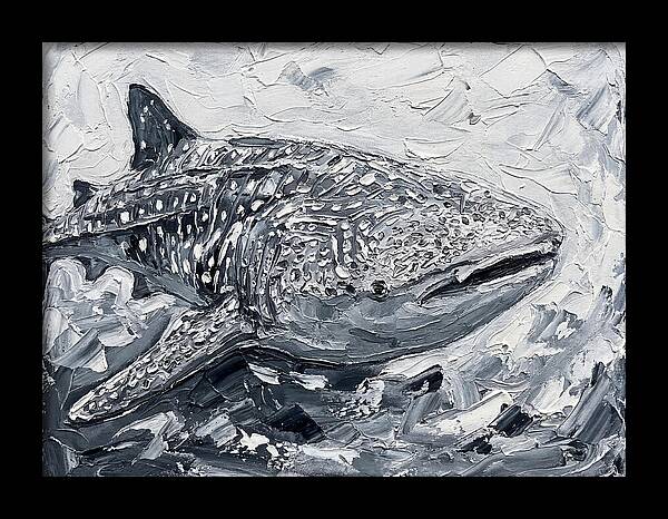 Whale Shark In Monochrome