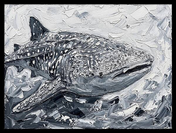 Whale Shark In Monochrome