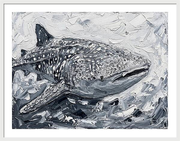 Whale Shark In Monochrome