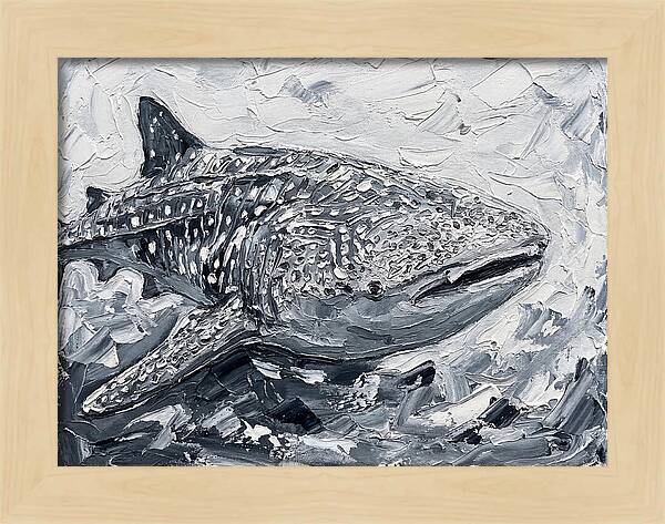 Whale Shark In Monochrome