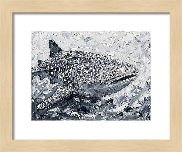 Whale Shark In Monochrome