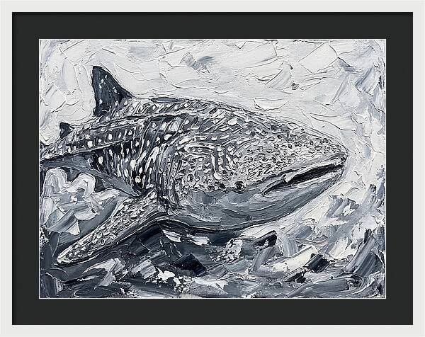 Whale Shark In Monochrome