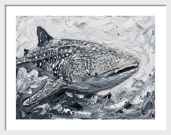Whale Shark In Monochrome