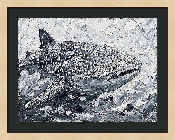 Whale Shark In Monochrome