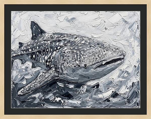 Whale Shark In Monochrome