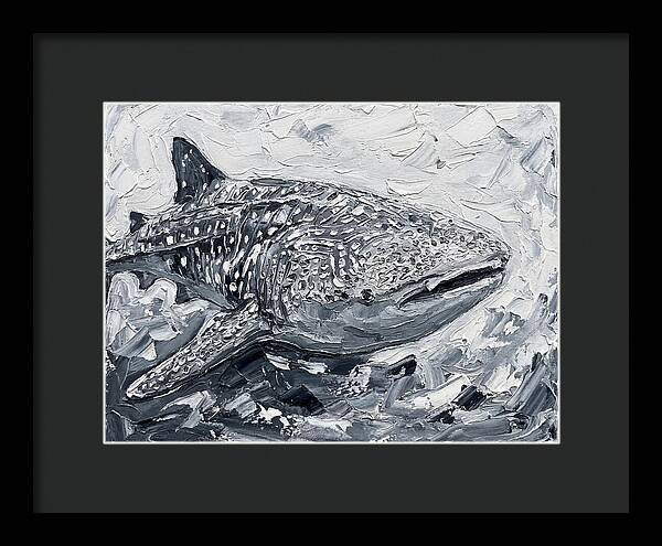 Whale Shark In Monochrome