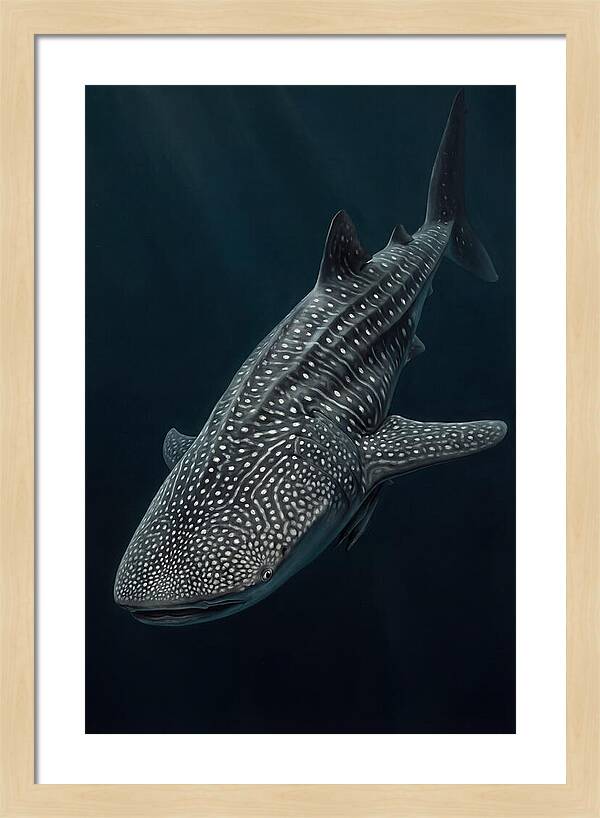 Whale Shark Majesty