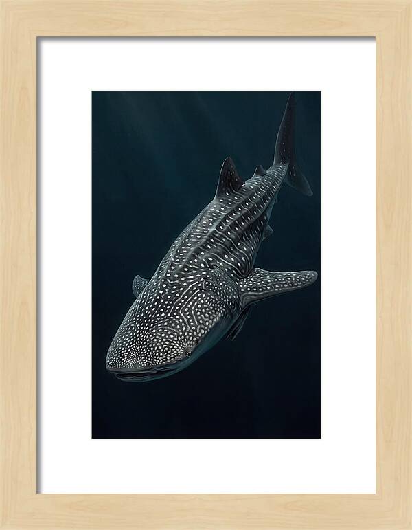 Whale Shark Majesty
