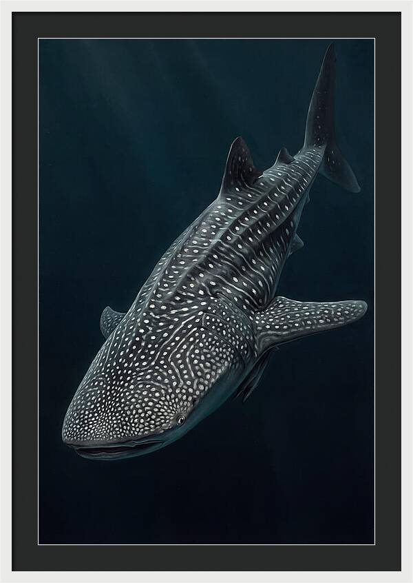 Whale Shark Majesty