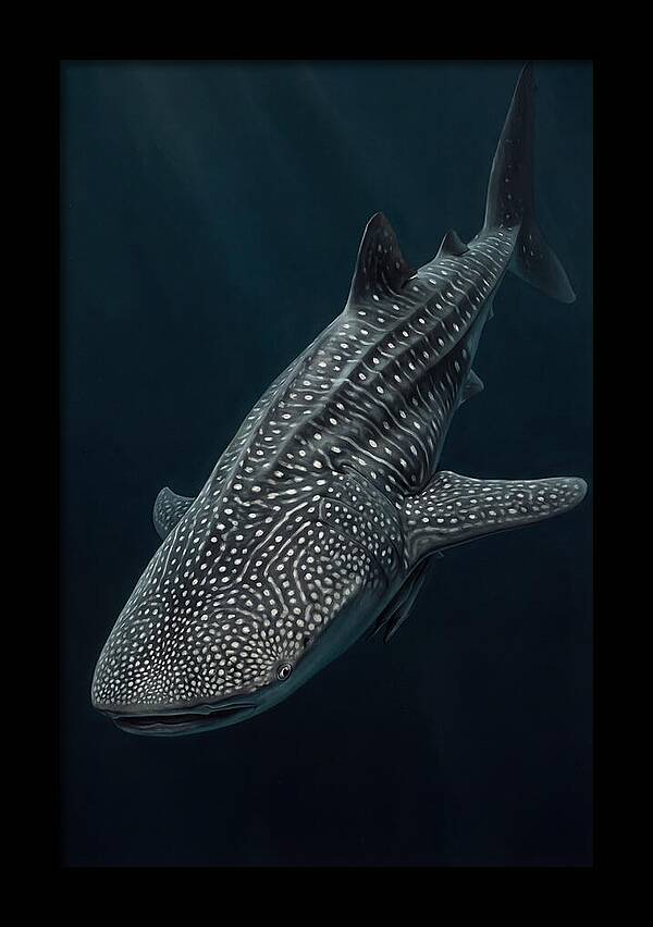Whale Shark Majesty