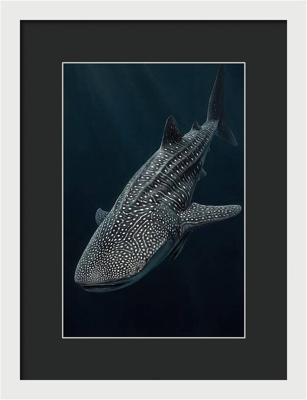 Whale Shark Majesty