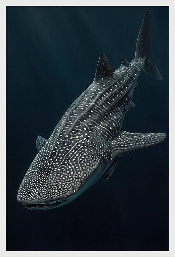 Whale Shark Majesty
