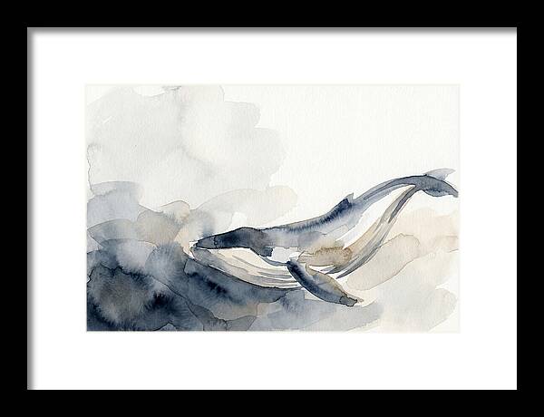 Whale Swimming Through Water
