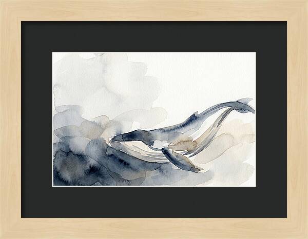 Whale Swimming Through Water