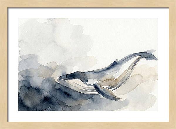 Whale Swimming Through Water