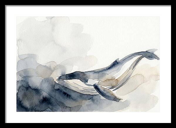 Whale Swimming Through Water