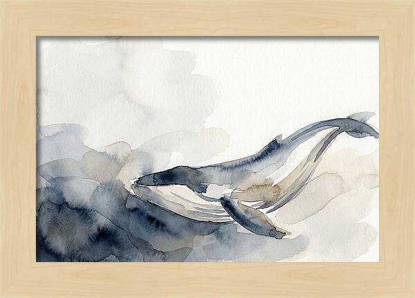 Whale Swimming Through Water