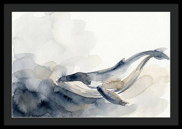 Whale Swimming Through Water