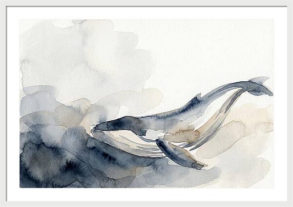 Whale Swimming Through Water