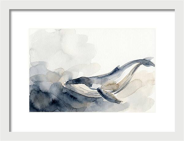 Whale Swimming Through Water