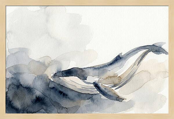 Whale Swimming Through Water