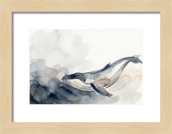 Whale Swimming Through Water