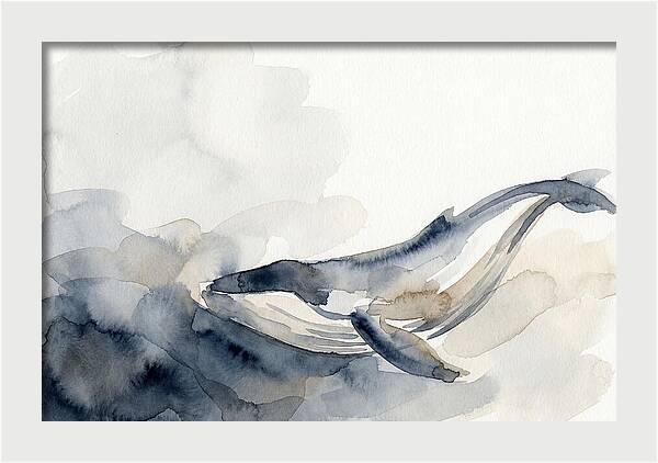 Whale Swimming Through Water