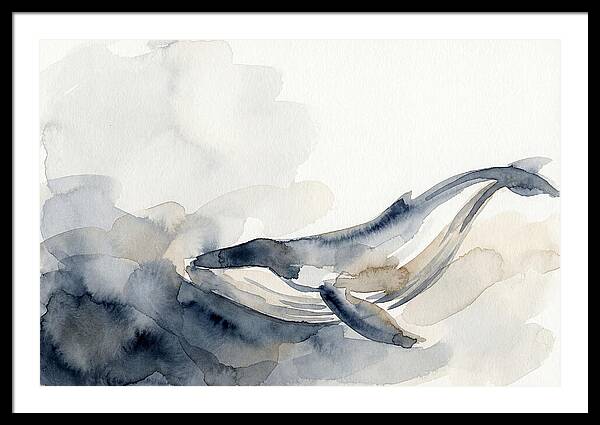 Whale Swimming Through Water