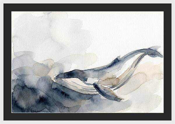 Whale Swimming Through Water