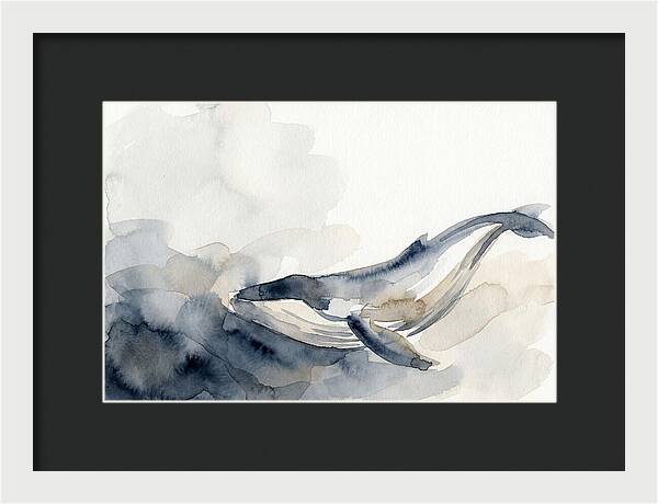 Whale Swimming Through Water