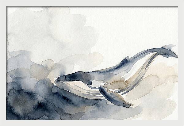 Whale Swimming Through Water