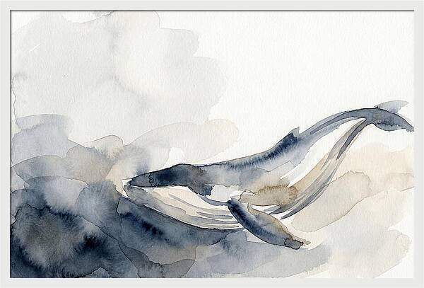 Whale Swimming Through Water