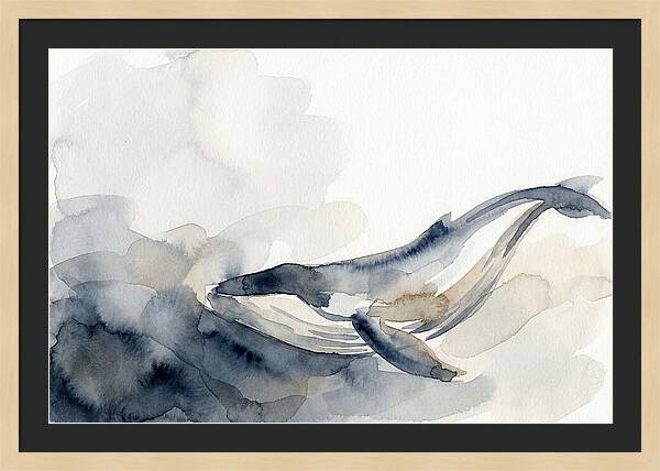 Whale Swimming Through Water