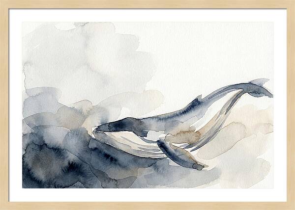 Whale Swimming Through Water