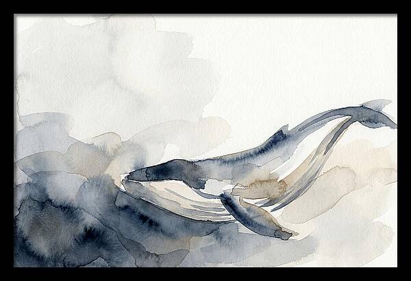 Whale Swimming Through Water
