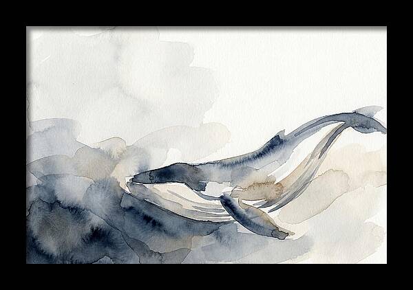 Whale Swimming Through Water