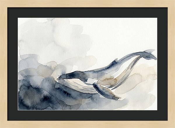 Whale Swimming Through Water