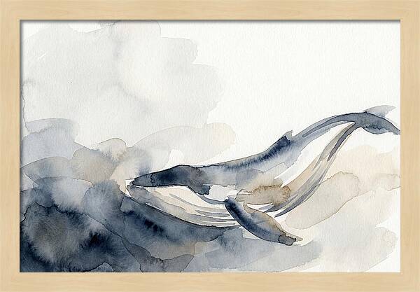 Whale Swimming Through Water
