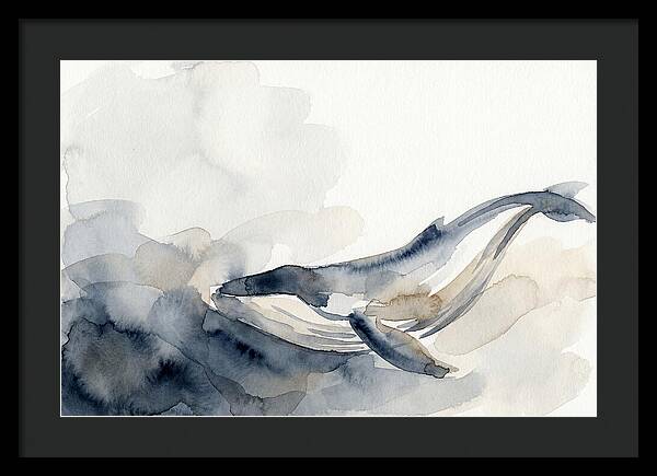 Whale Swimming Through Water