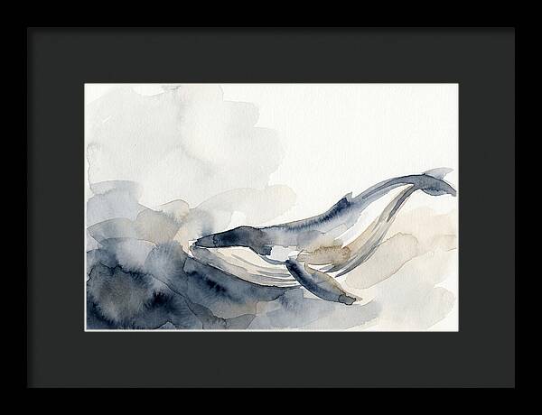 Whale Swimming Through Water