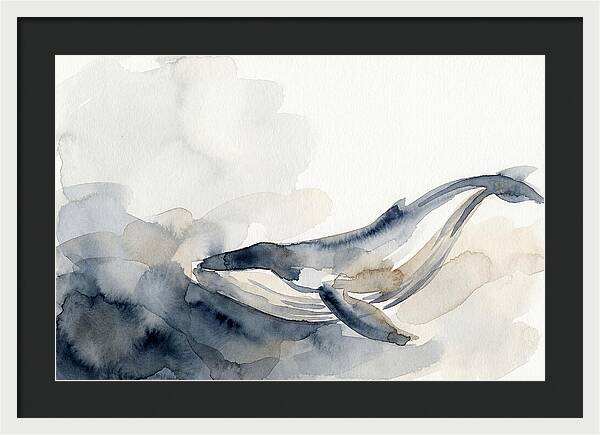 Whale Swimming Through Water