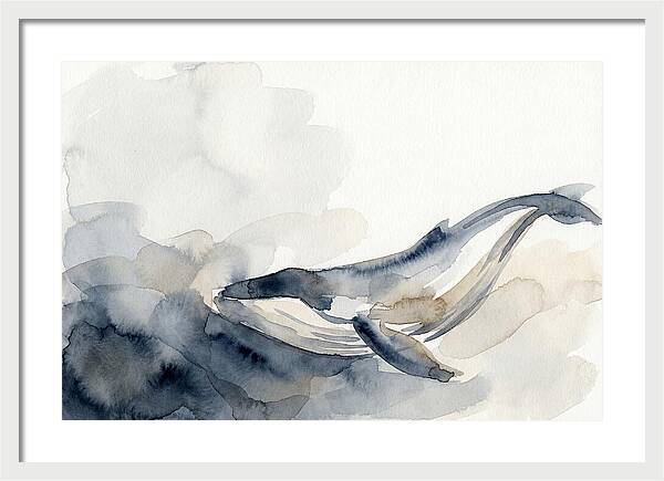 Whale Swimming Through Water